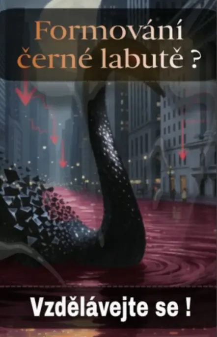 Formování černé labutě ?